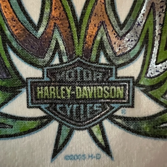 Vintage Y2K 2005 Harley-Davidson v-neck baby white tee Ozarks Springfield sz M - Picture 6 of 10